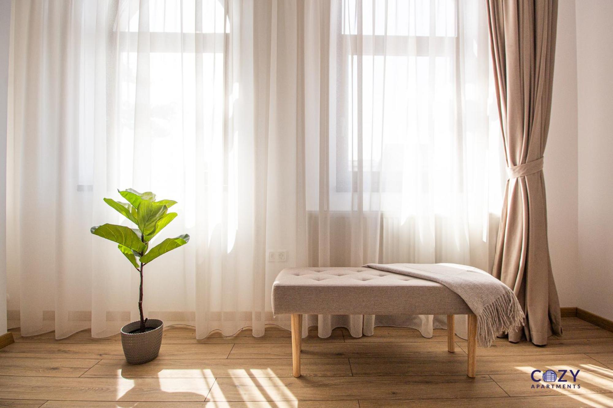 Cozy Brand New Boutique Aparthotel 브라쇼브 외부 사진